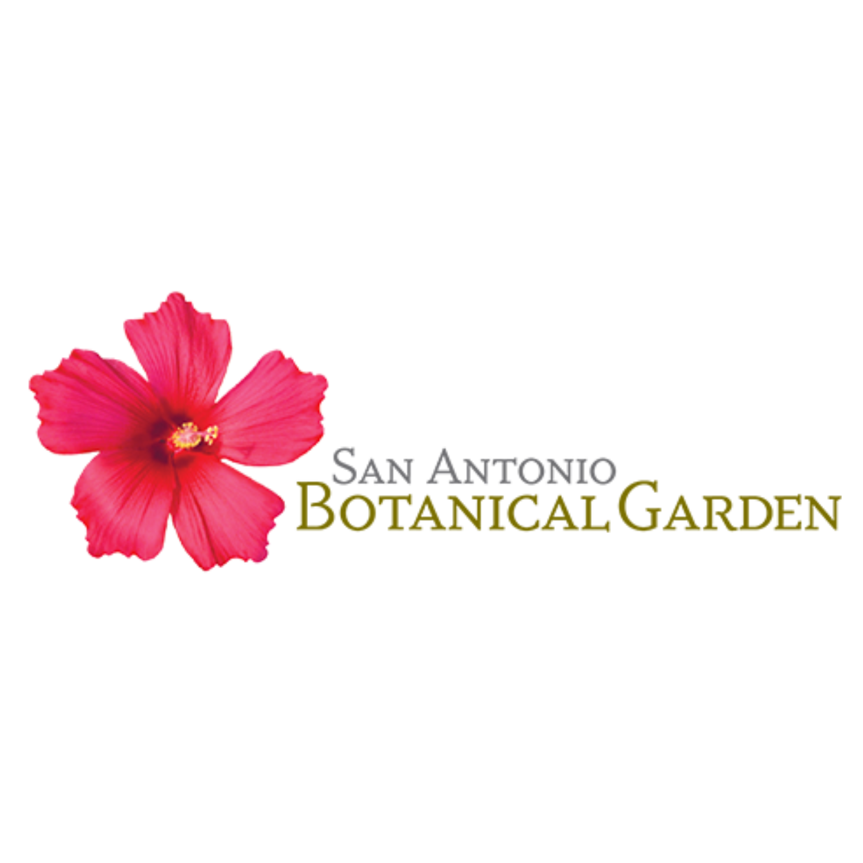 BOTANICAL  GARDEN